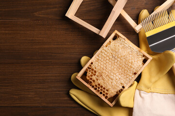 Fototapeta na wymiar Honeycomb frames and beekeeping tools on wooden table, flat lay. Space for text