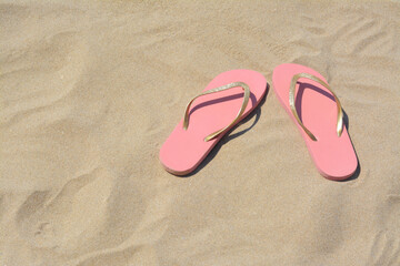 Fototapeta na wymiar Stylish pink flip flops on sand, space for text