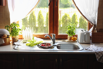 Fototapeta na wymiar Fresh raw vegetables near sink in kitchen