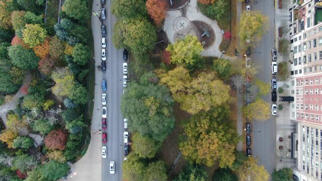 Lincoln Park Fall