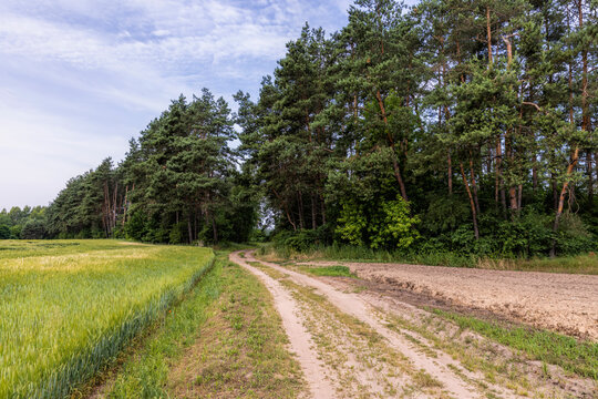 Unpaved Highway In Rural Areas