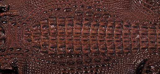Very luxurious rectangle crocodile skin texture used in textile industry