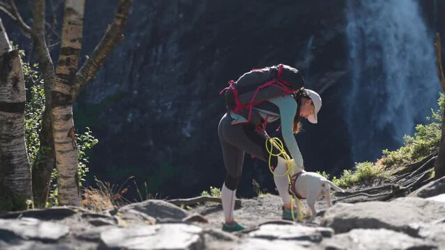 A female hiker pets a small white terrier. A waterfall falling into the deep gorge in the background.
