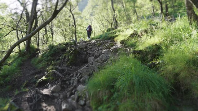 A rear view of the female hiker walking up the steep rocky trail. A small white dog at her heel. Slow-motion.