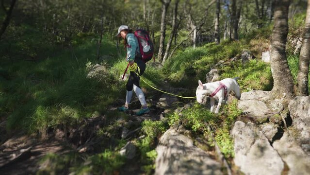 A female hiker walks on the rocky trail. A small white dog at her heel. Slow-motion. Pan follow.