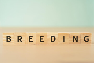 飼育・しつけのイメージ｜「BREEDING」と書かれたブロック
