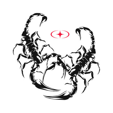 vector two scorpion silhouette concept