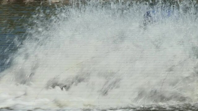 Moving water in a fish pond.