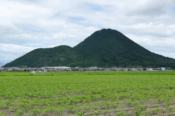 滋賀県　三上山