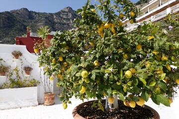 impressions of Amalfi coast, Italy