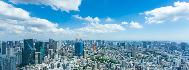 Fototapeta premium 東京風景