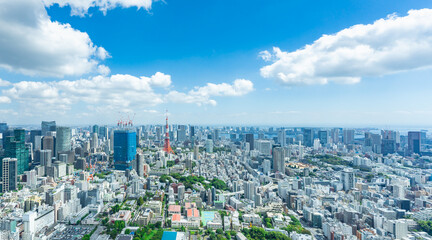Fototapeta premium 東京風景