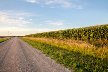 Fototapeta na wymiar Iowa country road and corn field