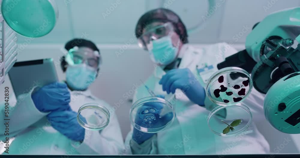 Wall mural Two scientists modifying and mixing chemicals in petri dishes in medical research lab from below. Chemists create a cure for a virus. Lab workers experimenting and recording their findings