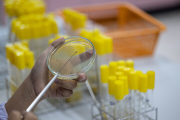 Background of Biochemistry study in the laboratory.