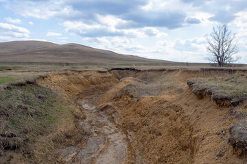 Deep clay ravine. Water erosion of the soil. Natural landscape.