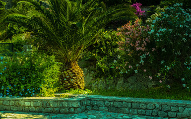 An isolated palm tree shaped like a large coconut on a natural background
