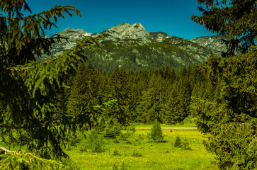 Mountain landscape, Durmitor National Park in Montenegro, June, morning, sunny day