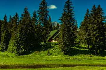 Mountain landscape, Durmitor National Park in Montenegro, June, morning, sunny day