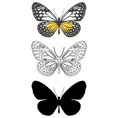 Vector illustration of Butterfly Pattern.