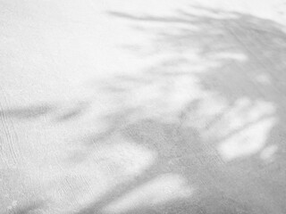 Blur Gray cement shadow leaves background. interior old rough surface texture dark black white floor stone. dirty pattern floor wall and soft light material inside wallpaper backdrop. loft room ground