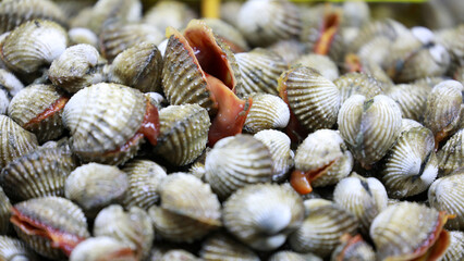 Closeup group of fresh raw cockles background. Seafood concept.