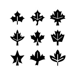 maple leaf icon or logo isolated sign symbol vector illustration - high quality black style vector icons
