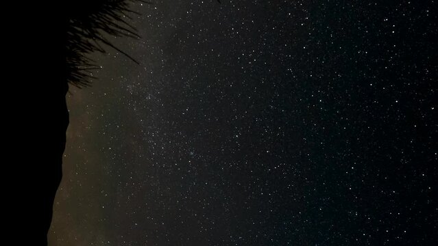The Milky Way in the desert sky - panning time lapse in vertical orientation