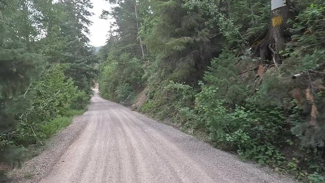 Forest mountain recreation ride POV. Nature in natural environment. Recreation, hiking, and fishing ponds. Campground destination and off road jeep, truck and ATV fun.