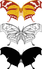 Vector illustration of Butterfly Pattern