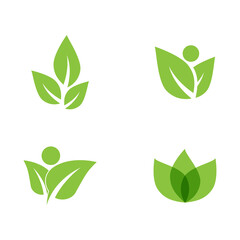 Green leaf illustration nature logo design