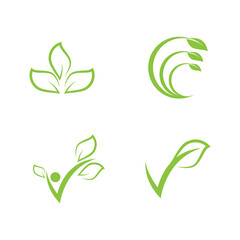 Green leaf illustration nature logo design