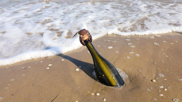 bottle with a secret message and a crab near the sea