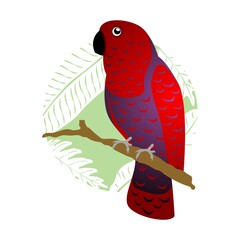Parrot in flat design vector illustration. EPS10.