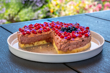 Chocolate garden cake with red and black currant