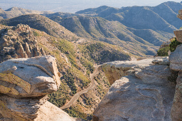 Arizona Nature Photography in the Winter
