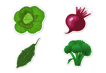 Sticker set of different vegetables, Flat vector illustration