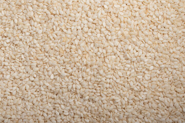 White Sesame Full Frame Background. Top View for background.