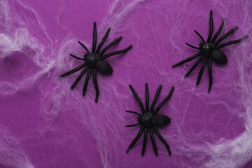 Plastic spiders with web on purple background. Halloween decor. Top view