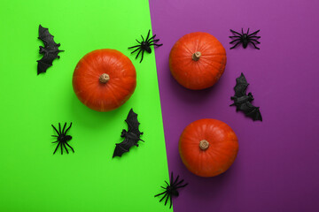 Fototapeta na wymiar Orange pumpkins, bats and spiders on green-purple background. Halloween minimal still life. Top view