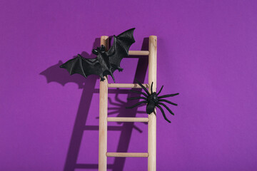 Wooden ladder with decorative bat and spider on purple background. Minimal halloween layout.