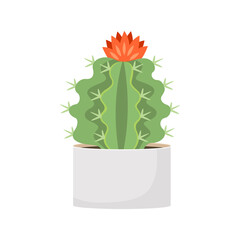 Cactus and succulent in pot domestic colorful cartoon vector illustration