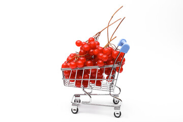Mini supermarket cart with viburnum sprig isolated on white background