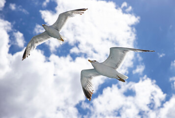 Beautiful city istanbul