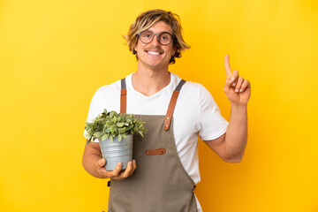 Gardener blonde man holding a plant isolated on yellow background pointing up a great idea
