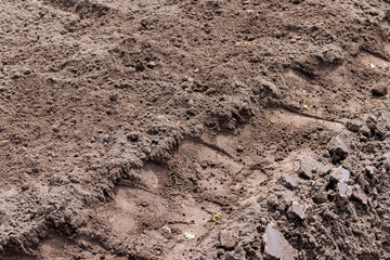 Soil in the field for agriculture, close up