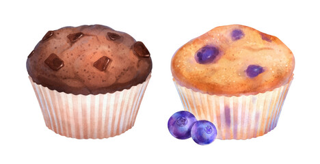 Watercolor illustrations of Muffins
