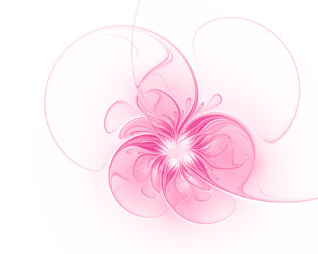 Pink fractal flower on white background