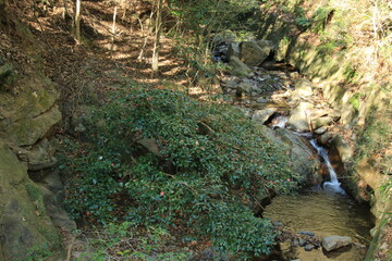 日本の川の風景　高座川(兵庫県芦屋市)の滝と椿の花