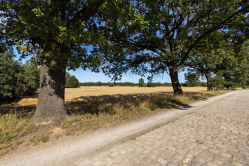 Lato - Polska, wrocław okolice wyspy opatowickiej